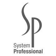 System Professionals